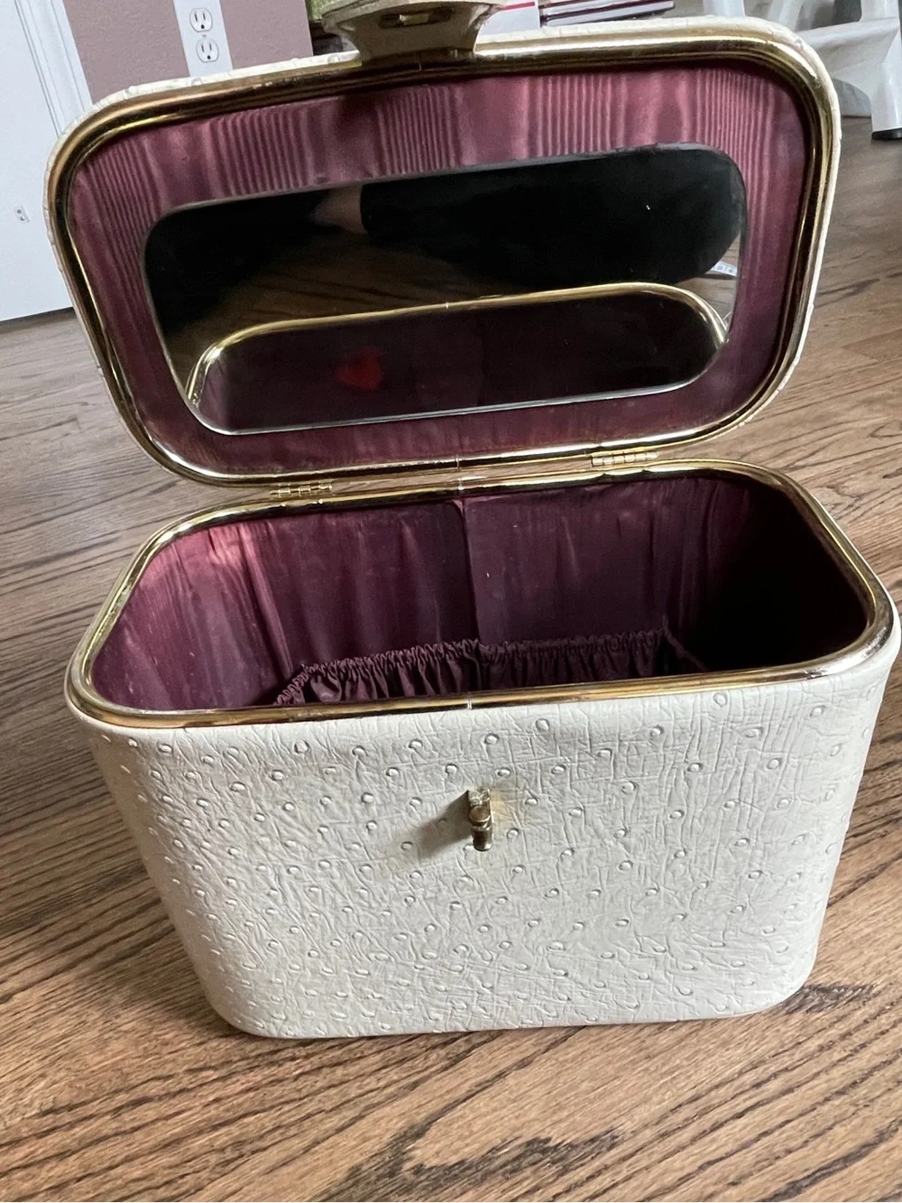 Vintage Celebrity New York Train Make Up Case Ostrich Embossed